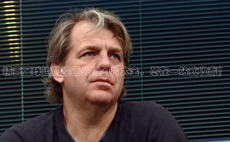 k8凯发赢家一触即发元隆雅图精美足球运动绘画头像图片大全，尽在一站式收藏！