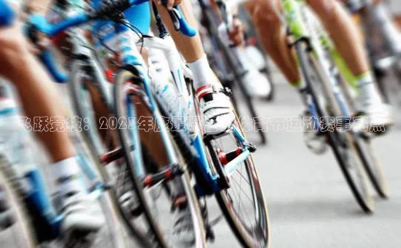 AG凯发K8国际爱慕股份飞跃竞技：2023年度最瞩目的体育节运动赛事亮点