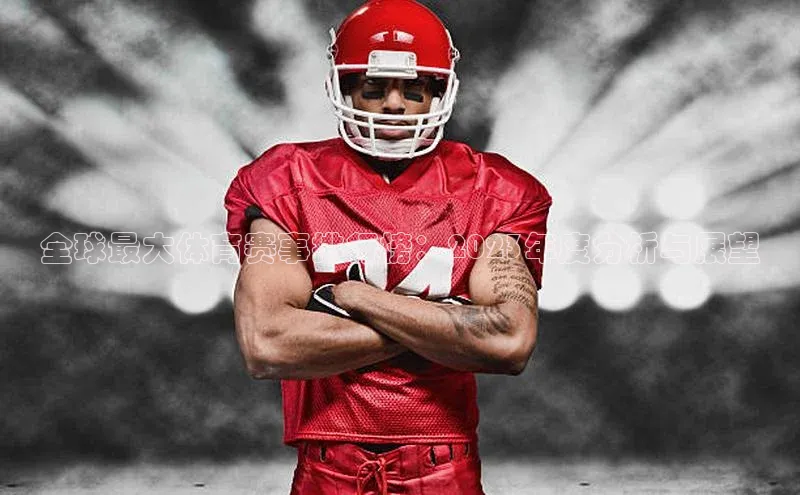 凯发K8国际首页登录入口ARGA公司全球最大体育赛事排行榜：2023年度分析与展望