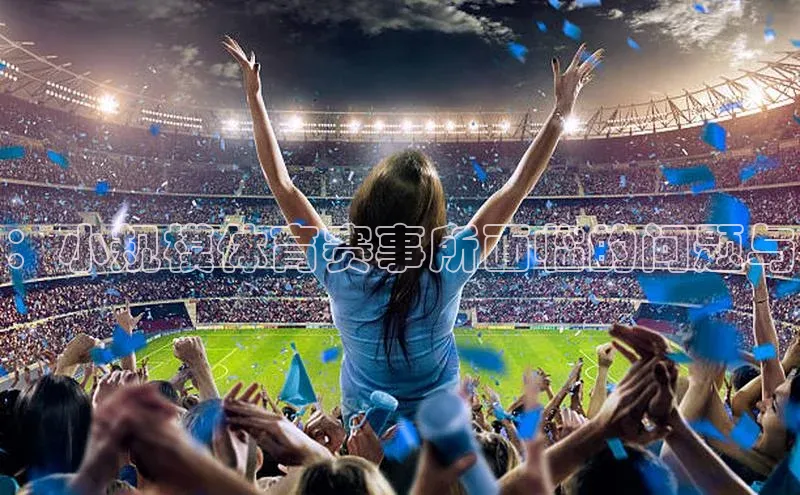 ：小规模体育赛事所面临的问题与