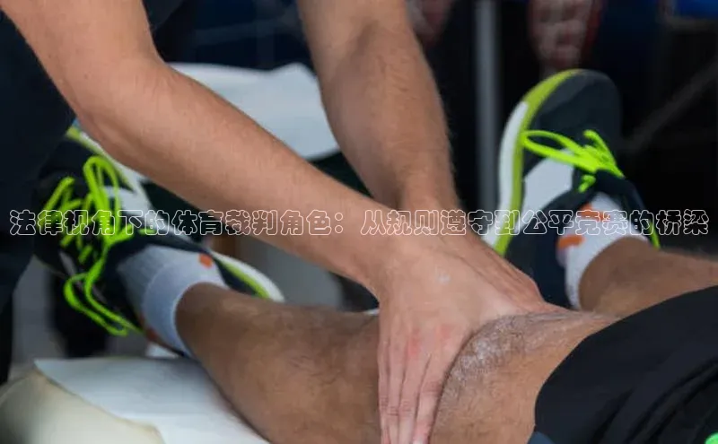 法律视角下的体育裁判角色：从规则遵守到公平竞赛的桥梁