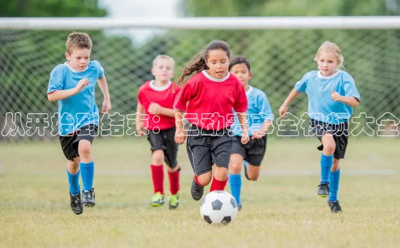 从开始到结束：运动赛事全视频大全