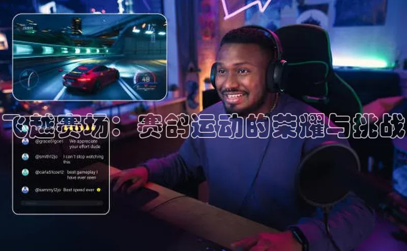 飞越赛场：赛鸽运动的荣耀与挑战