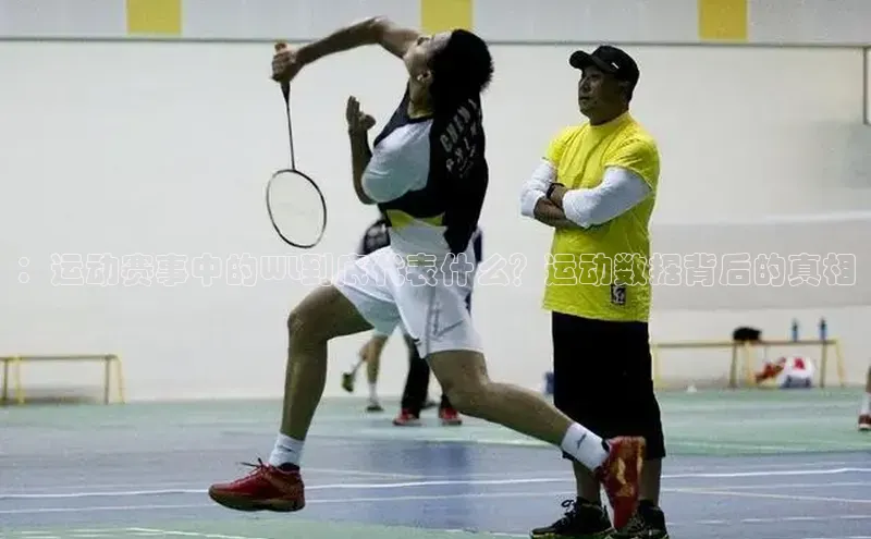 ：运动赛事中的WL到底代表什么？运动数据背后的真相