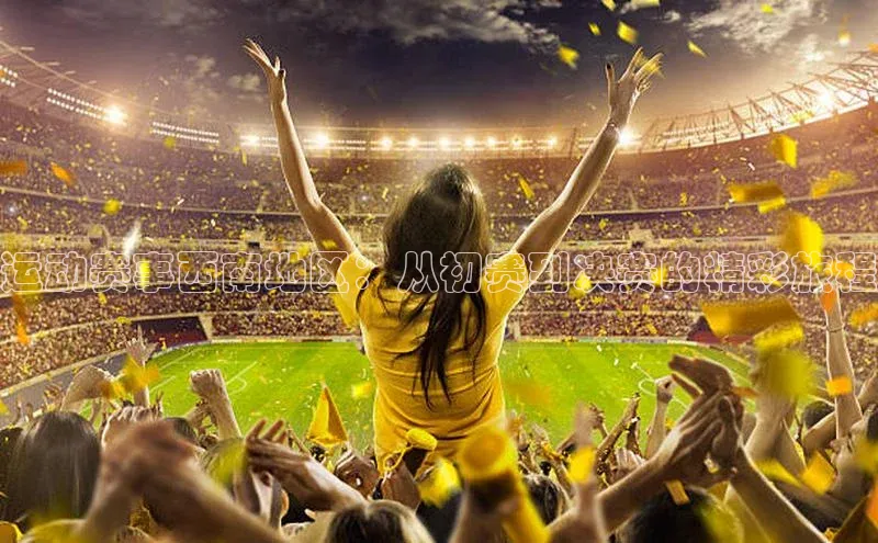 运动赛事西南地区：从初赛到决赛的精彩旅程