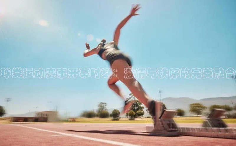 球类运动赛事开幕时刻：激情与秩序的完美融合