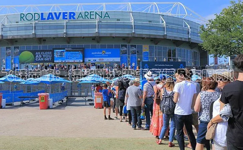 飞跃巅峰：精彩跳水赛事直播尽在眼前！