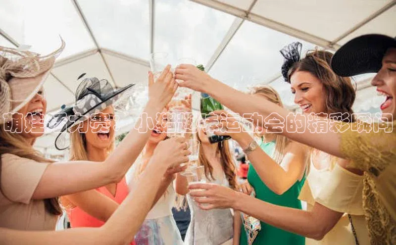 萌娃活力赛：小猪趣味运动会的精彩瞬间