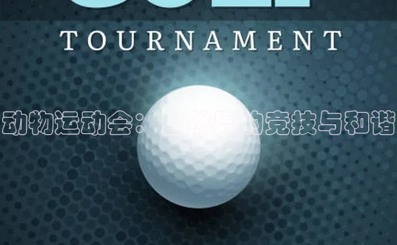 动物运动会：自然界的竞技与和谐